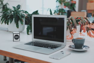 現(xiàn)代辦公環(huán)境中的軟硬件融合與知識共享